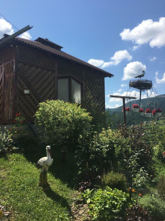 Hotel Відпочинок У Пронів Slavske Exteriér fotografie